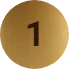 n1